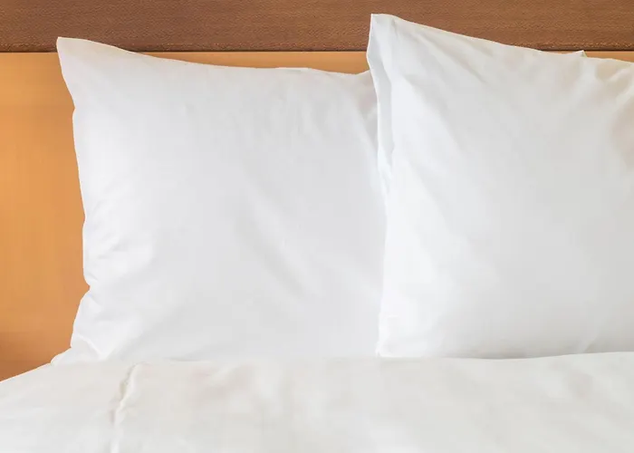 Holiday Inn Express West Palm Beach Metrocentre By Ihg